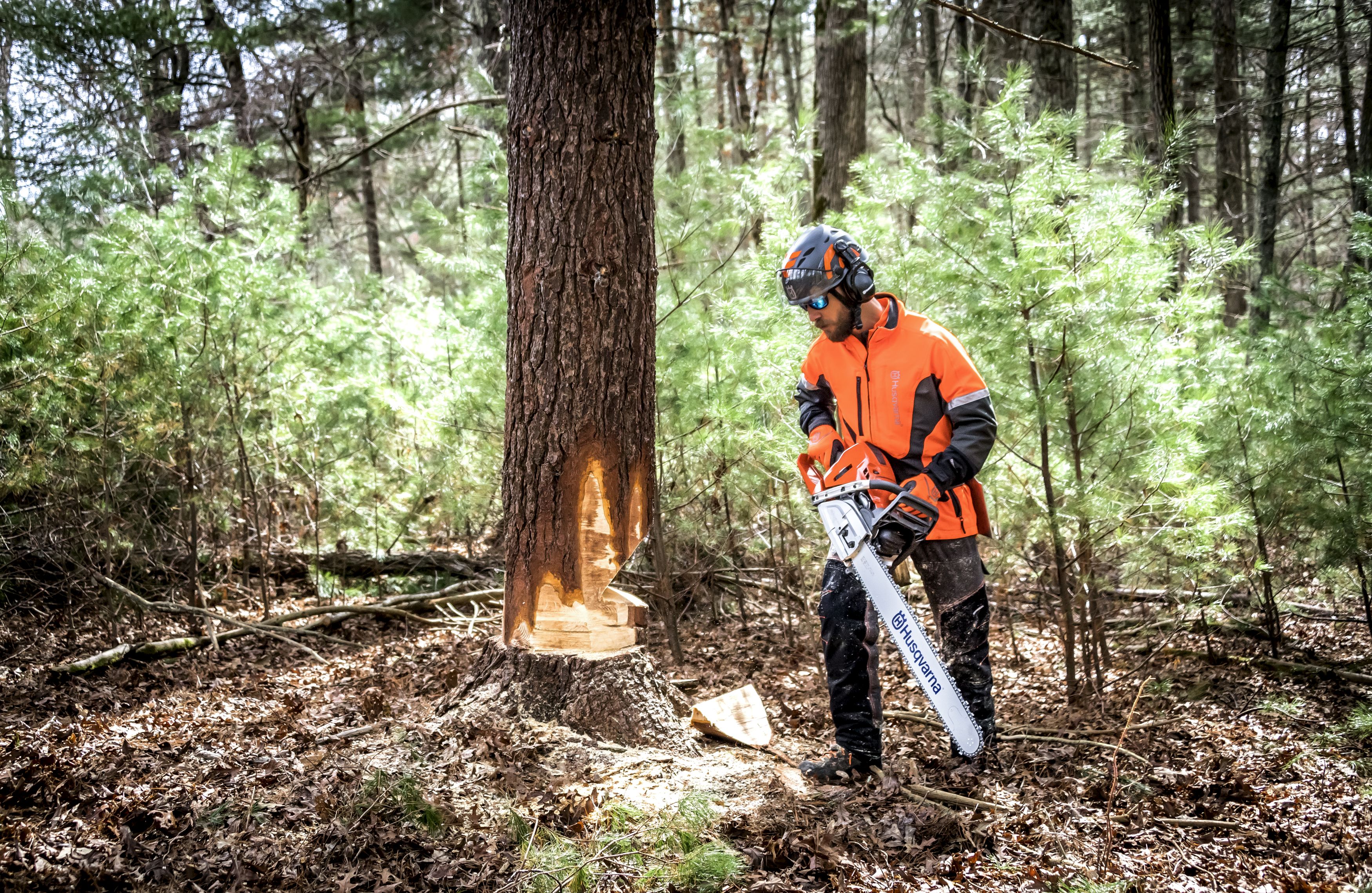 What Chainsaw Do Professional Loggers Use?